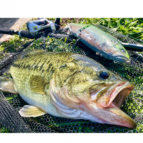 Без имени-21.jpg